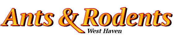 West Haven Ant Exterminator & Rodent Control Company Logo